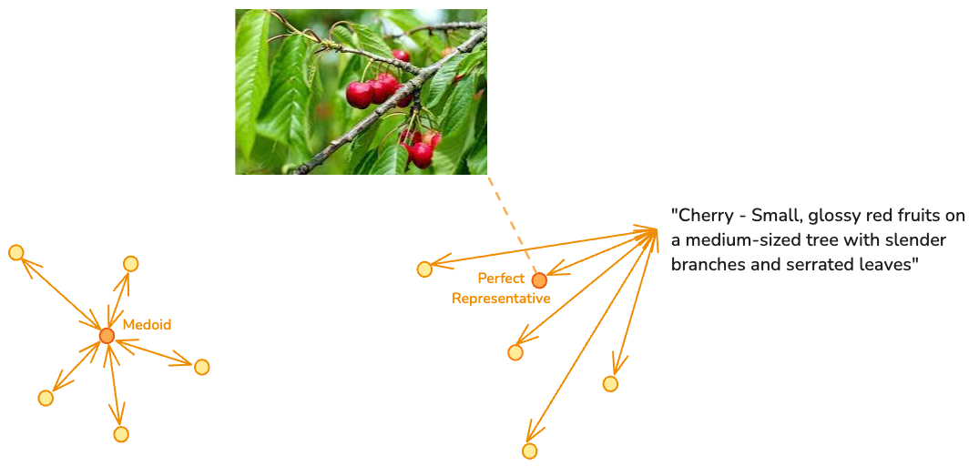 cluster-representative